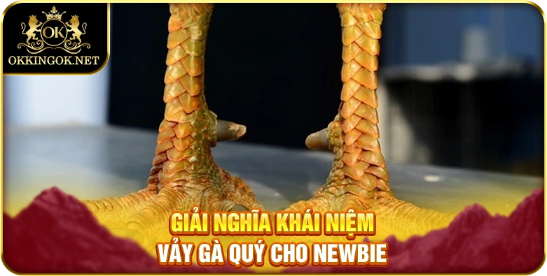 Giải nghĩa khái niệm vảy gà quý cho newbie